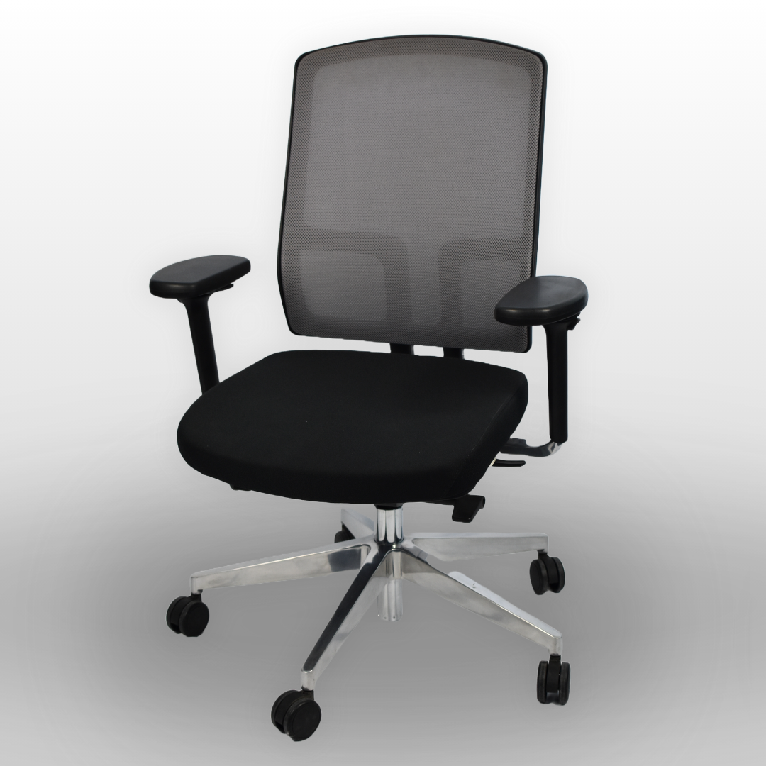 Netgo – Showroom-Modell – Einzelstücke